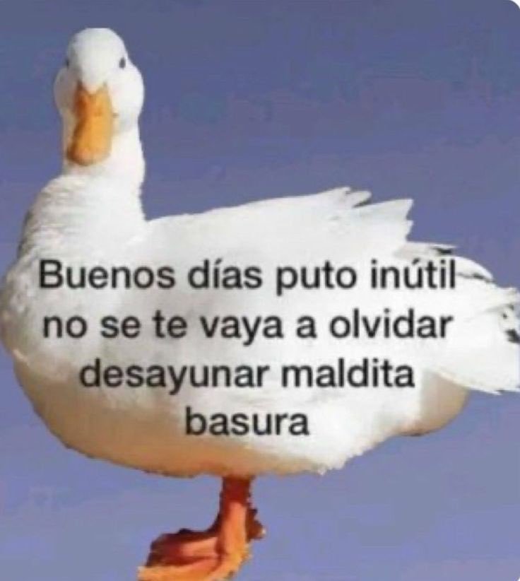 AzukaLandog's tweet photo. Yo con la gente que amo: Buenos días princesa, ya desayunaste?
No dejes de hacerlo.

Yo conmigo: https://t.co/DMiyzkuYkn