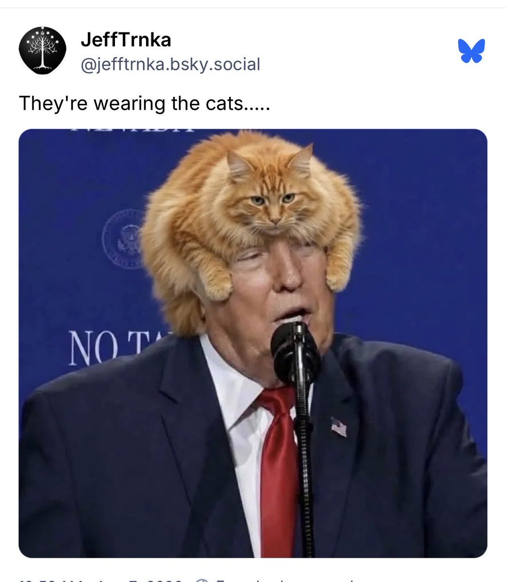 Wearing the cats logo