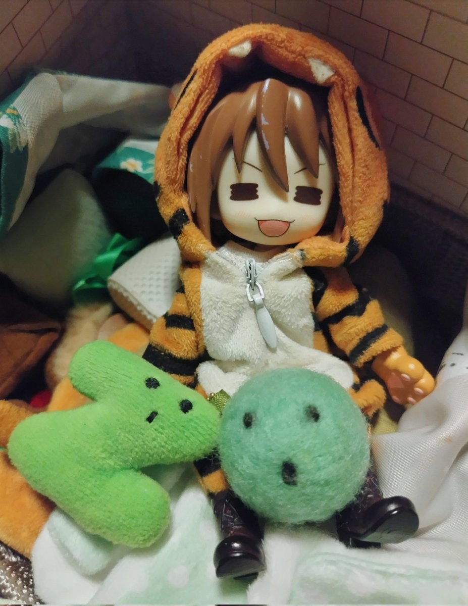 seiron_ot's tweet photo. 今朝の虎猫くん🟢
#まいにちとらねこくん https://t.co/98doHovM5b