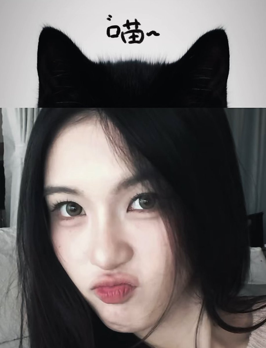 Soliorise's tweet photo. Today is August 8 — International Cat Day. If you see my little cat, please say hi to her! https://t.co/wm71xVEzvy
