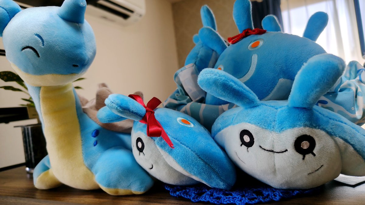 For403's tweet photo. 可愛いゾーン
使い所のなかったバンダナで包んでみたら可愛い度UPしたな。もうすぐマンタインも来るよタマンタたち。 https://t.co/OK29xyRnr3