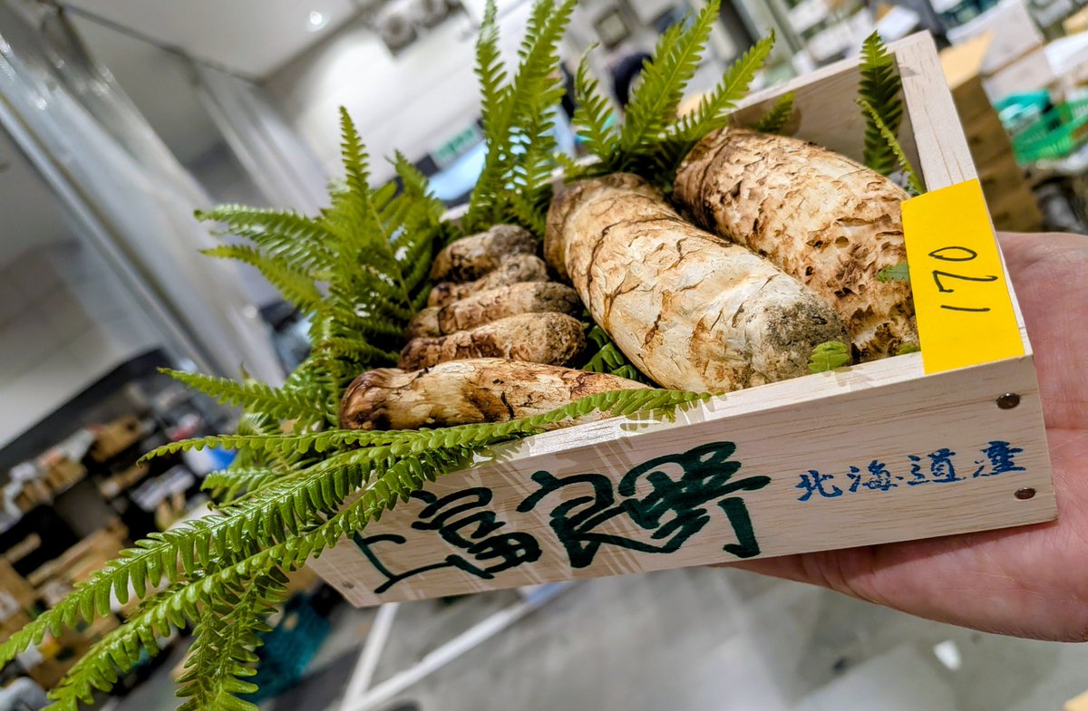gisyun's tweet photo. 今朝の豊洲市場・政義青果、ブータンより松茸が届きました♫　ちょっと遅いスタートです🍄‍🟫　国産は上富良野１箱だけでした🥲 #政義青果 #豊洲市場 #松茸 #ブータン松茸 #北海道産松茸 https://t.co/sbdt3actGE
