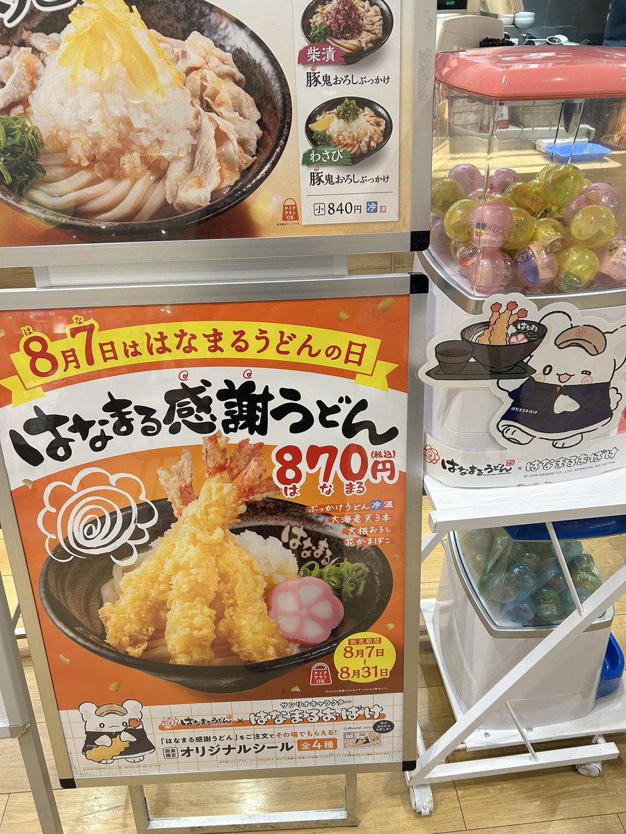 mrmroo00's tweet photo. 昨日はなまる感謝うどん食べてきたので。期間中たくさん行きたい

そして海老天もうどんも美味しい🤤
何気にうどん屋さんの海老天初めて食べた気がするけど(いつもちくわ天)
美味しい！ https://t.co/04HTpXwQk9
