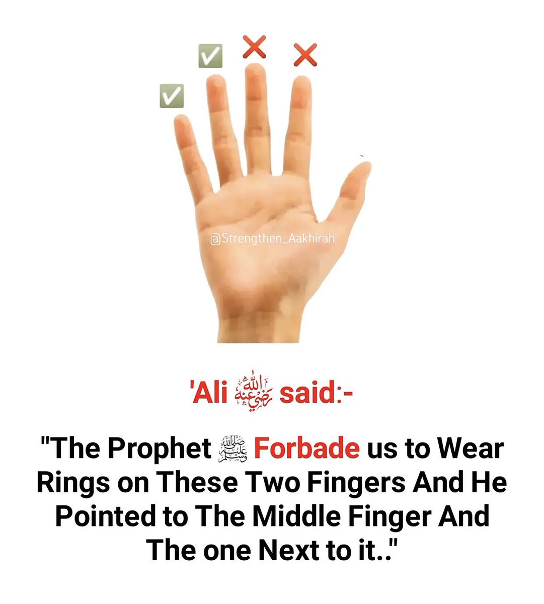 HaleematourS's tweet photo. The Messenger of Allah ﷺ said: https://t.co/bAlwW1KMzY
