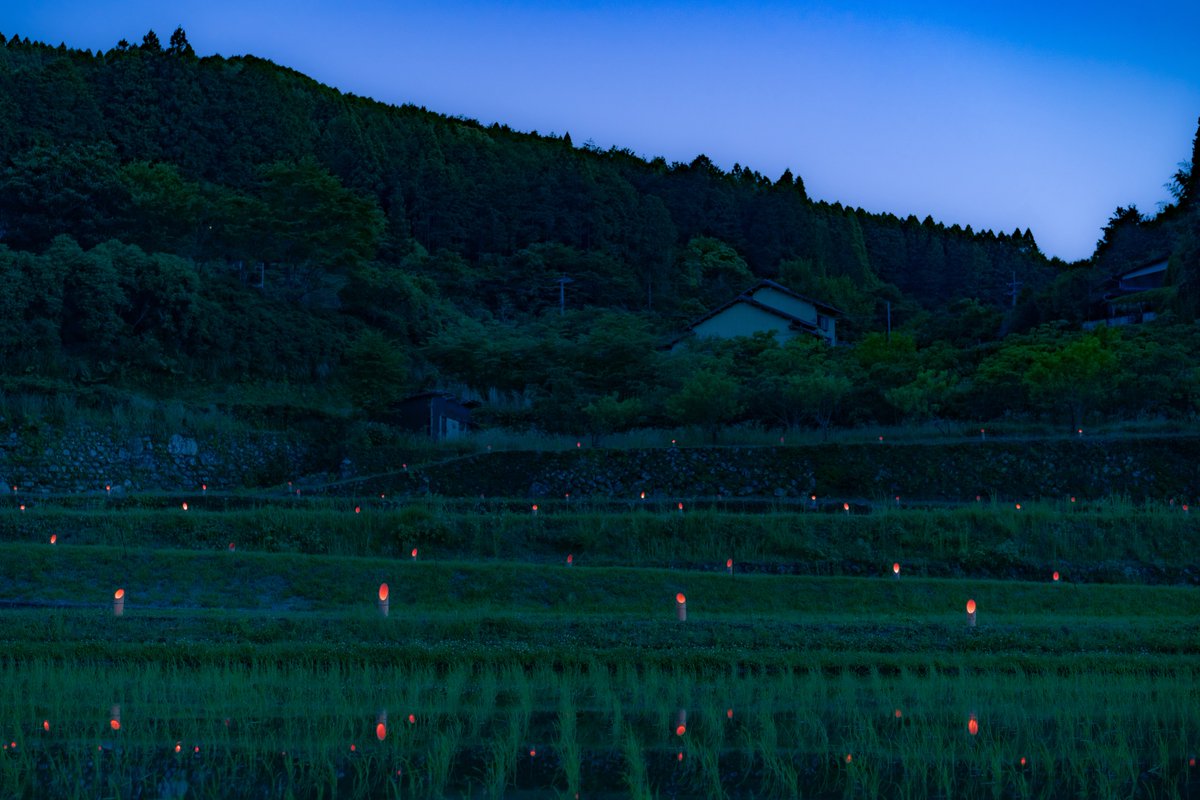 creamsoda_sea's tweet photo. ひとりぼっちで移住した町の夜みて。 https://t.co/LVIOWnQiht