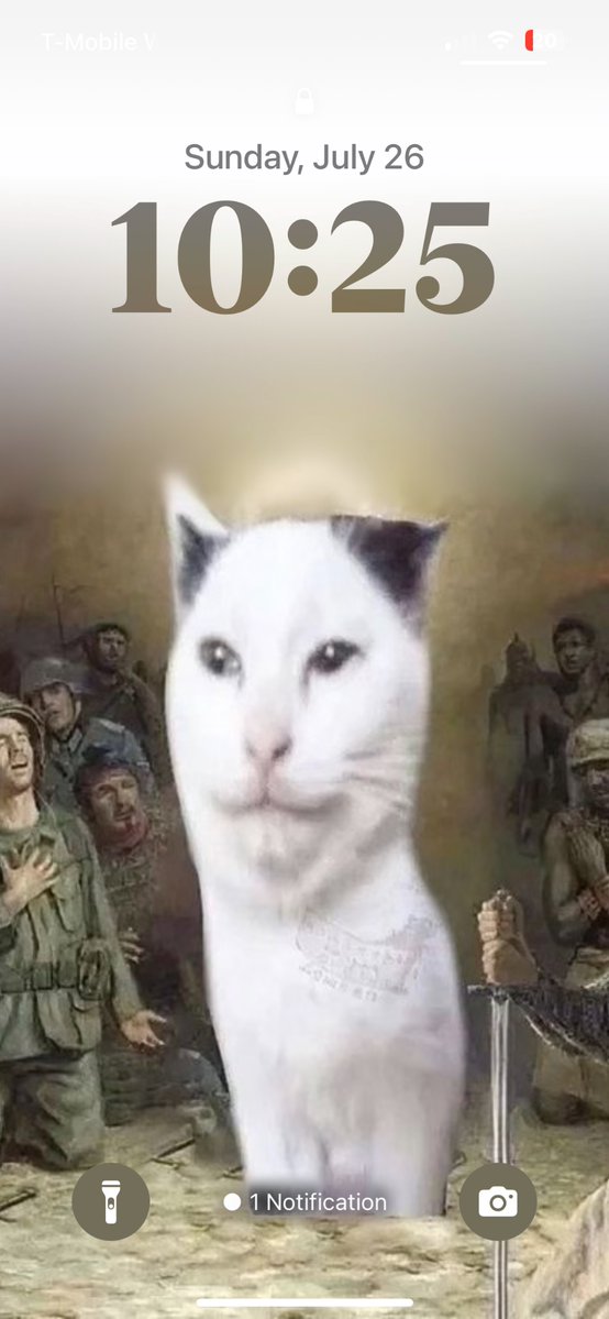 fushikigami_'s tweet photo. I  have  made  a  cat  my  wallpaper  . 

do  not  criticize  this cat . 

It  clearly  holds  power  as  others  worship  it . https://t.co/ynGtn6aNHc