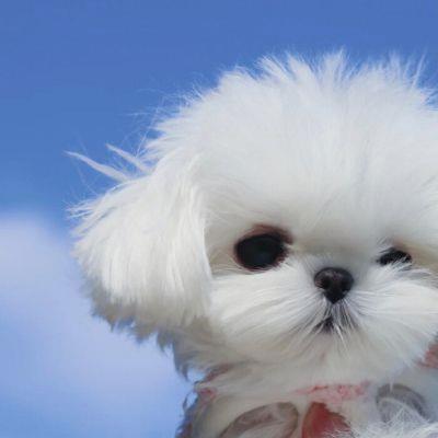 LewIrma73196's tweet photo. 🎁 🌂 💐 🚀 Tried a breathwork circle—inhales expanding, exhales releasing. https://t.co/hy8XpY0WMX