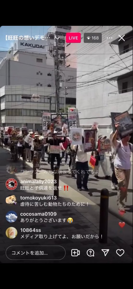 rein_mizusawa's tweet photo. #掲揚未成年者犬虐待事件
#動物虐待ビジネス撲滅 
#旺旺の想いデモマーチ
#JusticeForWangWang
始まっています

大阪デモすごいです！メディア取り上げてください

革命起こす勢いだと❗️
#拡散希望　

#水沢レイン https://t.co/I5bZFJvn9k