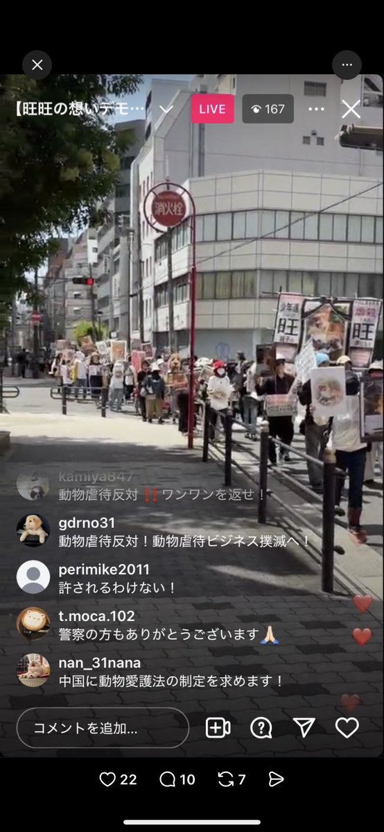 rein_mizusawa's tweet photo. #掲揚未成年者犬虐待事件
#動物虐待ビジネス撲滅 
#旺旺の想いデモマーチ
#JusticeForWangWang
始まっています

大阪デモすごいです！メディア取り上げてください

革命起こす勢いだと❗️
#拡散希望　

#水沢レイン https://t.co/I5bZFJvn9k
