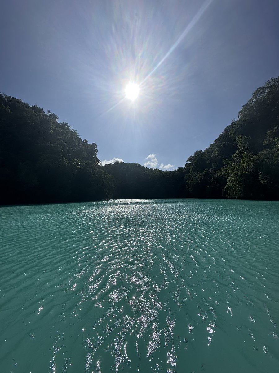 Koji_Oyama's tweet photo. 【備忘録】
最後は #MilkeyWay へ

水の流れがないところなので石灰の泥が海底に溜まってるらしい

泥パックして飛び込んで洗い流す

#Palau #IMPAC #SRItour https://t.co/hK8GQoiWuk