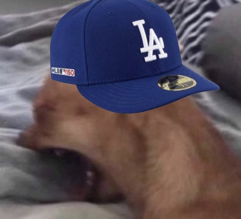 Dodgersandrewjf's tweet photo. 7 game losing streak for The Dodgers
No one has it worse than us Dodger fans https://t.co/6Ehm9y12Ex