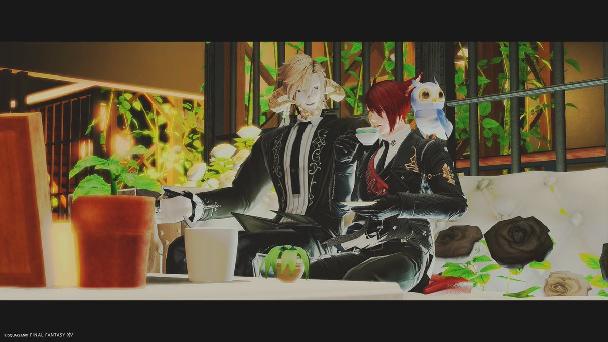 okome_tabero14's tweet photo. 炉さんとお会いしていろいろお話したどー！
プレアデス様でオスラさんと会うといつも「でかい……プレアデス様ちっさ……」ってなる……w🤣
ひんがしの国いえーーい！してきた😘 https://t.co/YMc3V75JXZ