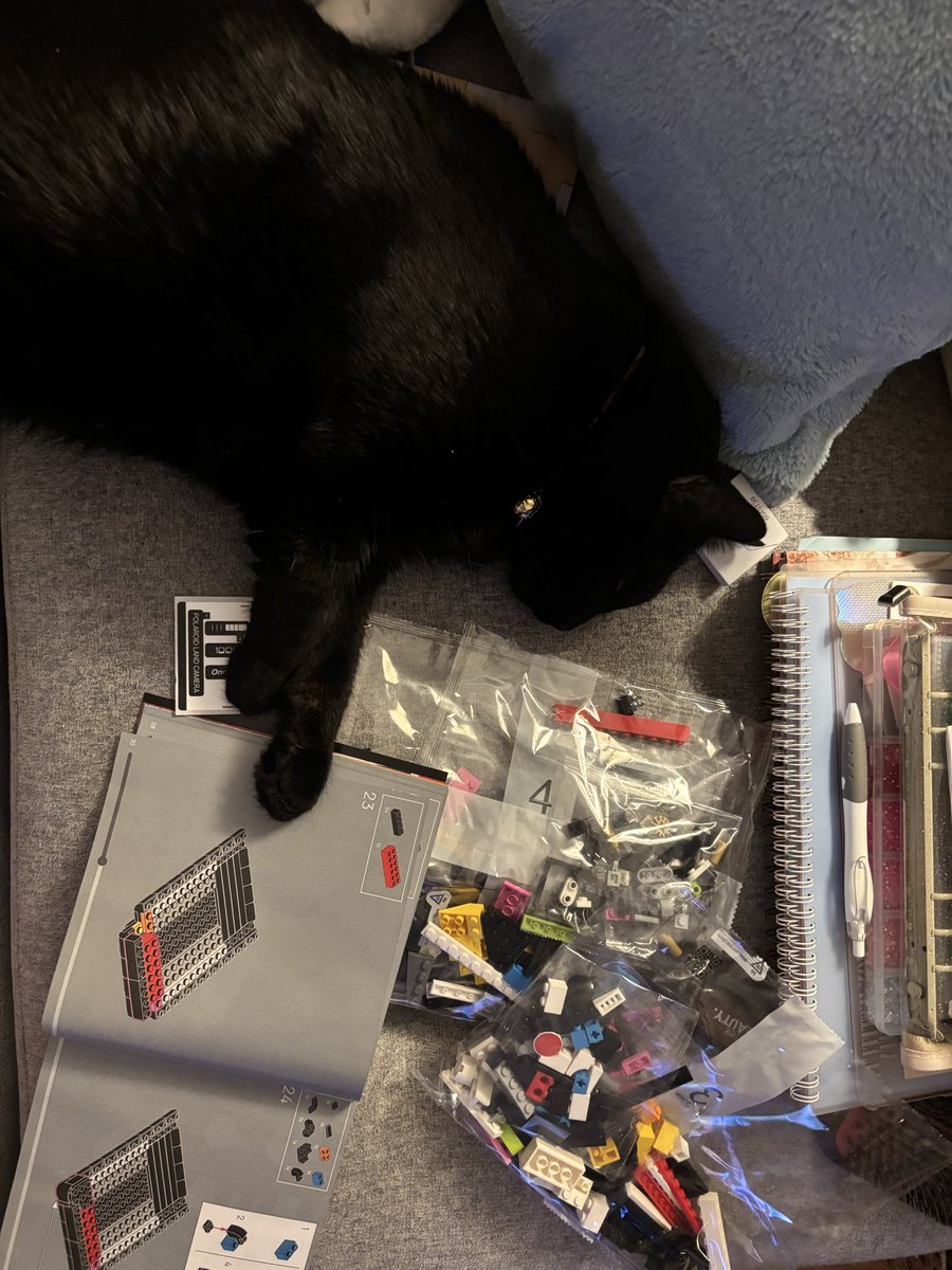 maadisonshay's tweet photo. My cat 🤝 LEGO

(Plus one knock off lego, pls forgive)

@LEGO_Group https://t.co/Wdwfx5C5Si