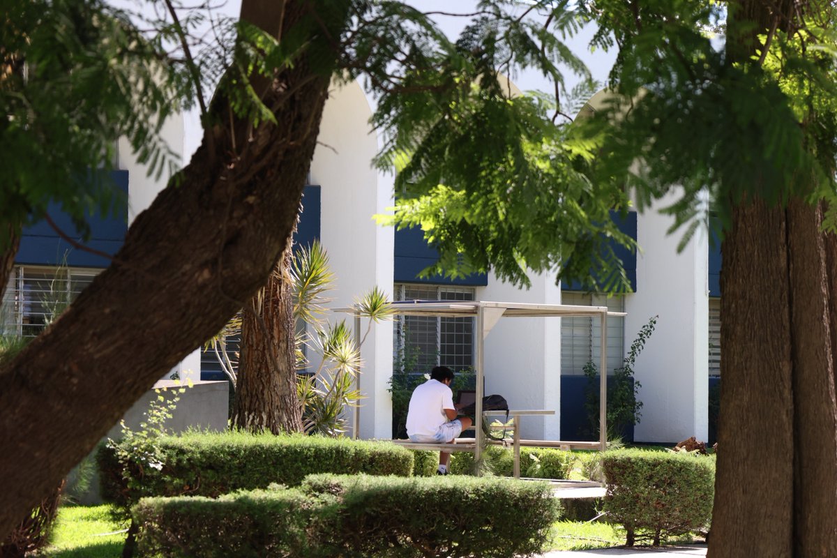 UMSNH_Oficial's tweet photo. Recordar nuestro origen nos da fuerza para el futuro. Somos la primera universidad autónoma de América Latina y la de mayor historia en Michoacán. ¡Que esa grandeza te inspire a dar lo mejor de ti hoy!

#HumanistaPorSiempre #HazMásPaz #YoYaSoyNicolaita #NicolaitasPorLaPaz #PlanMichoacanPorLaPazYLaJusticia