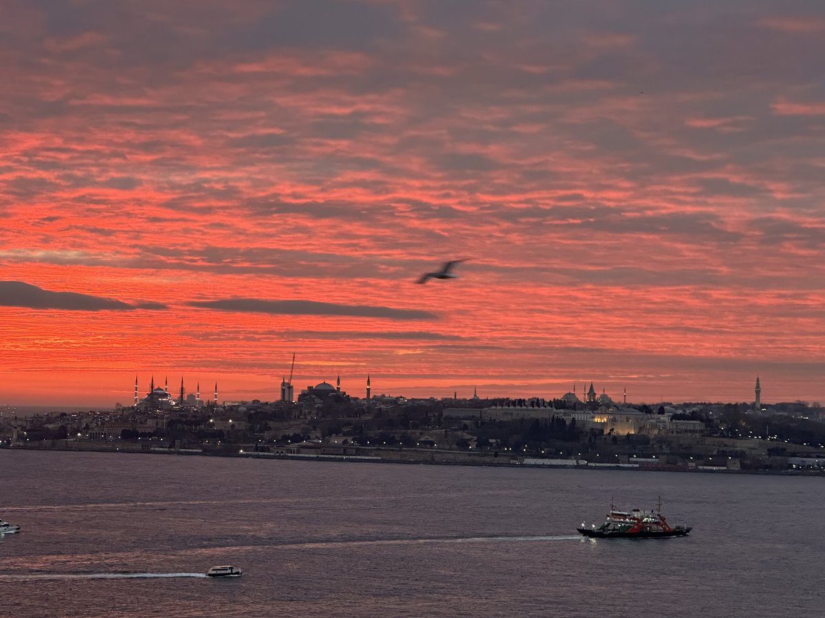 SunaAraz3's tweet photo. @turkerkilic Doğa, insanın en eski öğretmenidir….Sokrates🌼🌎 salacak‘tan🌈🌈 İstanbul❣️ https://t.co/JxoihWSnrt