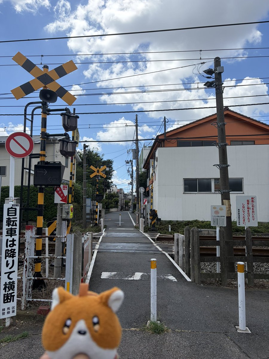 andy_yoru's tweet photo. 富士見通り行ってきました！
明日の夜にまた帰りますから、その前絶対に行きたかった！ https://t.co/WPojdg7Jkr