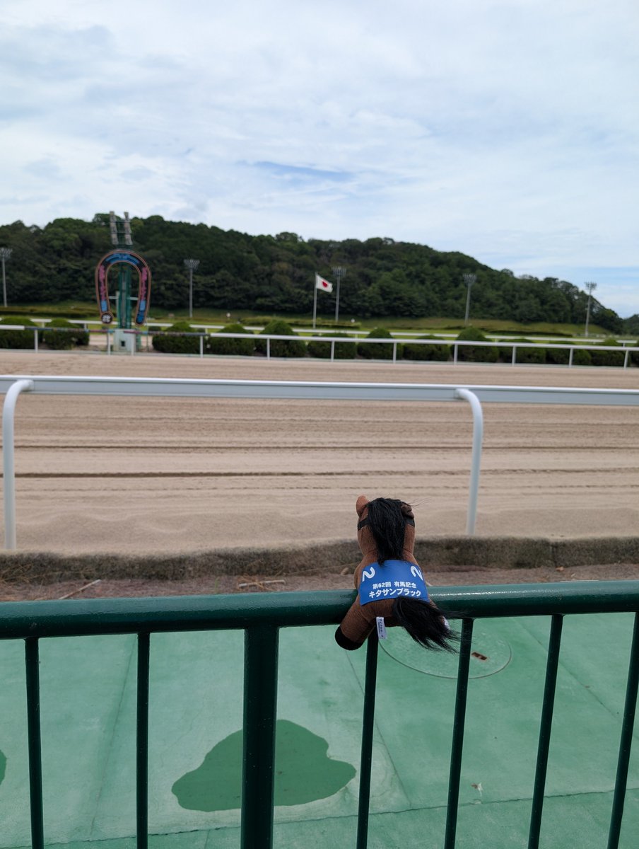 sagahawk_cos's tweet photo. 今日のぬい活
キタちゃん、佐賀競馬場だよ https://t.co/7KNi49VuAL