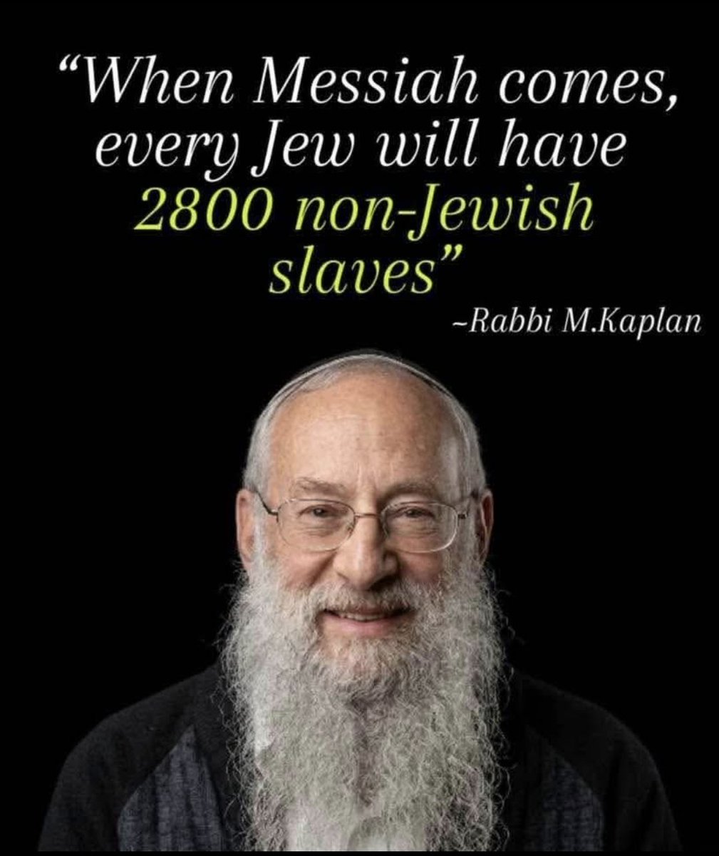 Ryan_Azeri's tweet photo. @kaylalopez1776 @Jules_13_ @realMaalouf Just make sure to start preparing yourself to worship them https://t.co/UqIHSJltTU