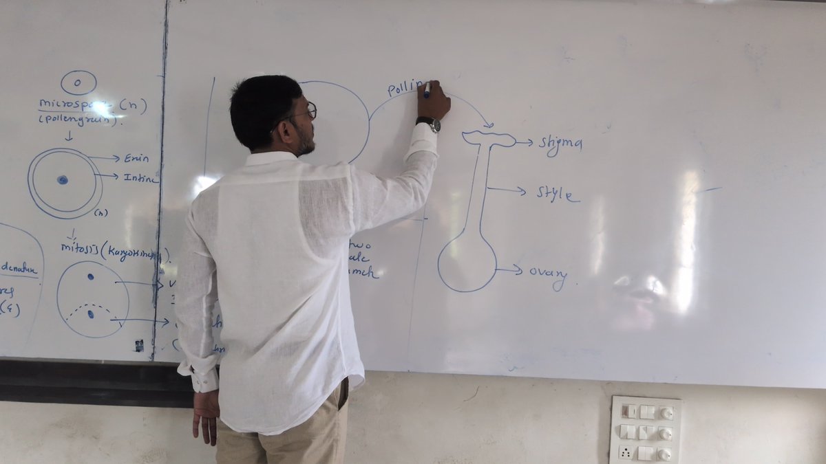 KamrajChalak's tweet photo. 🌿 Unveiling the Big Secret of Reproduction in Angiosperms! 🔬🌸
A fresh morning, enthusiastic learners, and an inspiring Science lecture filled with curiosity, diagrams, and discovery.🌱
Learning Science with Curiosity & Joy!
#ScienceLecture #Reproduction #Angiosperms https://t.co/YbvyOHZiwy