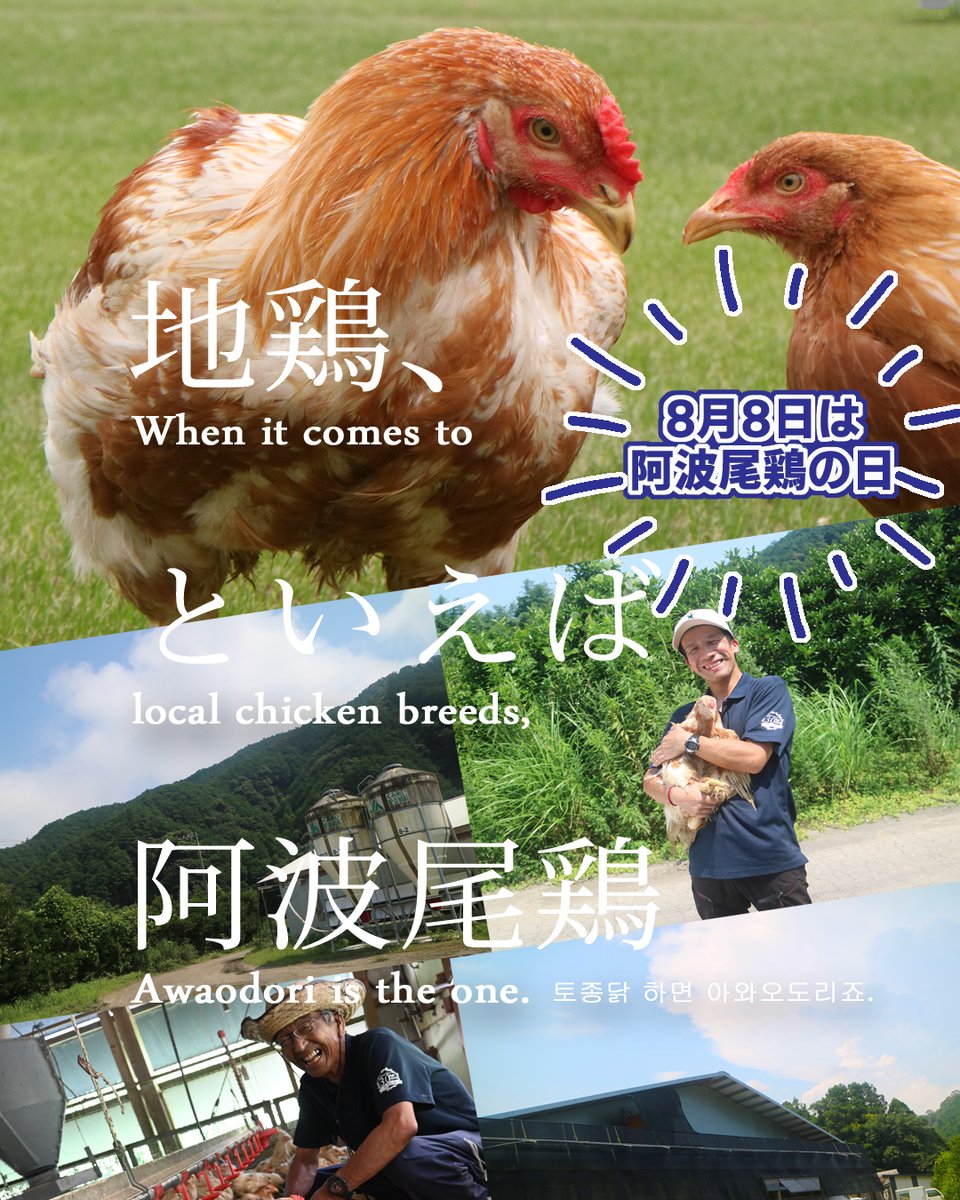 malmoto_inc's tweet photo. #8月8日は阿波尾鶏の日！

地鶏、といえば阿波尾鶏。

「阿波尾鶏」の安全性や美味しさを多くの人に知っていただくことを目的に、記念日登録。

暑い日が続きますが、「阿波尾鶏」を食べてこの夏を乗り切りましょう。

これからも「阿波尾鶏」をよろしくお願いいたします。

#阿波尾鶏 https://t.co/jwlsypT5xx
