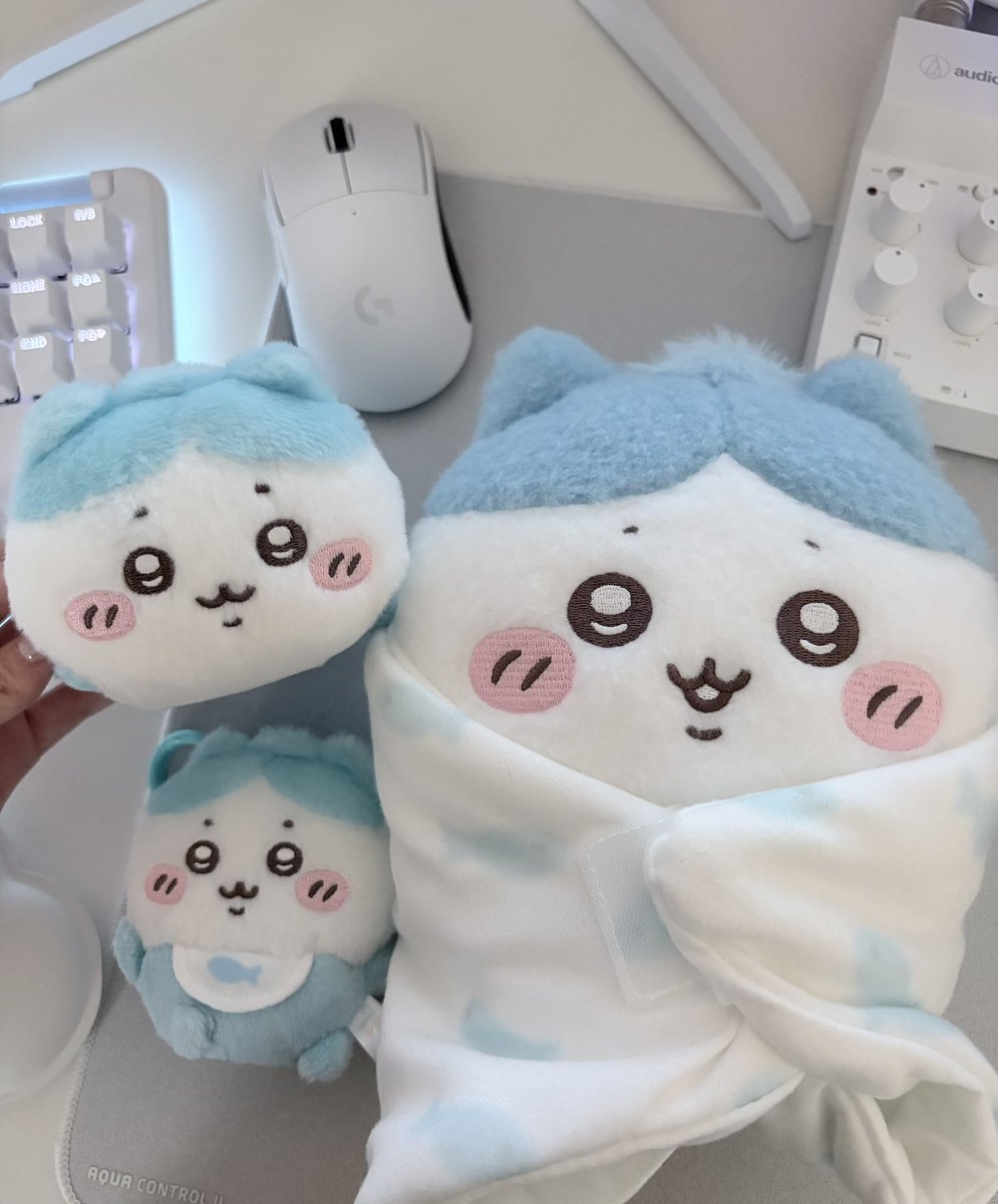 cn7v22's tweet photo. baby🩵

 #ちいかわ  #ちい活 https://t.co/6U8yvprUlD