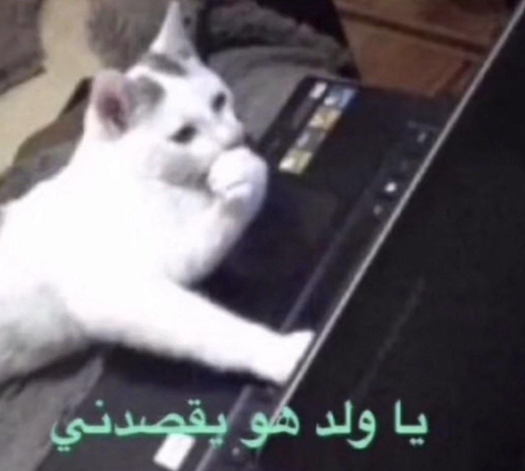MeeOnlllllly's tweet photo. @sul7su تحسست https://t.co/8TYsbZa8dU