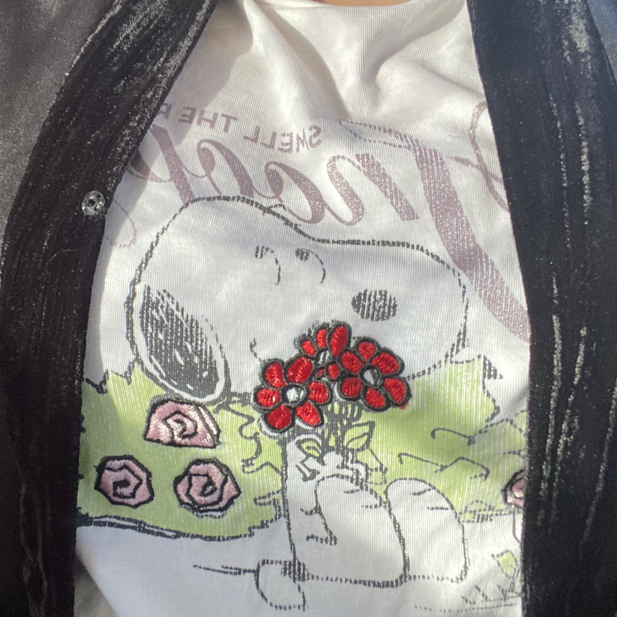 lanielabtyeo's tweet photo. me and my snoopy against the world https://t.co/kcICWcu9PE