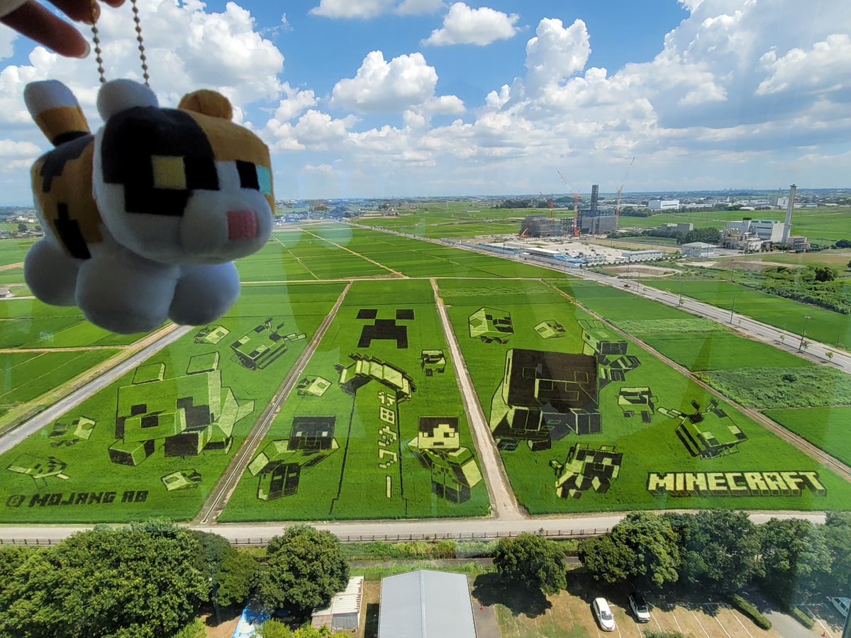 mommiji1's tweet photo. Minecraftの田んぼアート見てきた！🟩 
草自体に色がついてるみたいだねぇ https://t.co/t7vHApMpxG