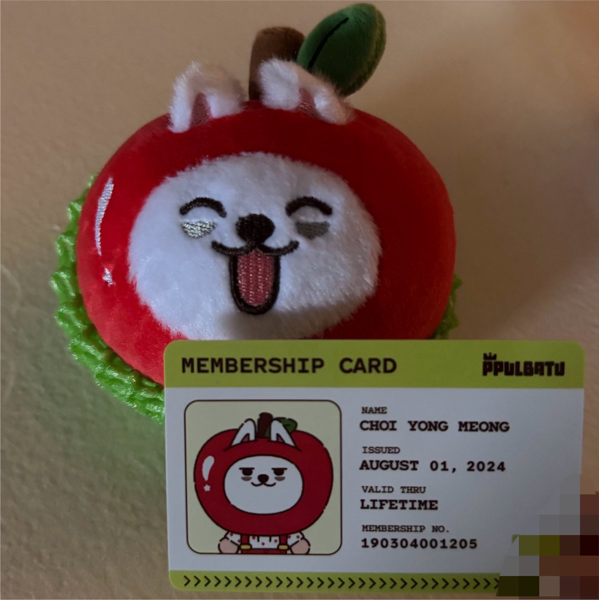 ggumpanics's tweet photo. you’re telling me you chose mclovin on ur id card ?? https://t.co/XjBSehrf8W