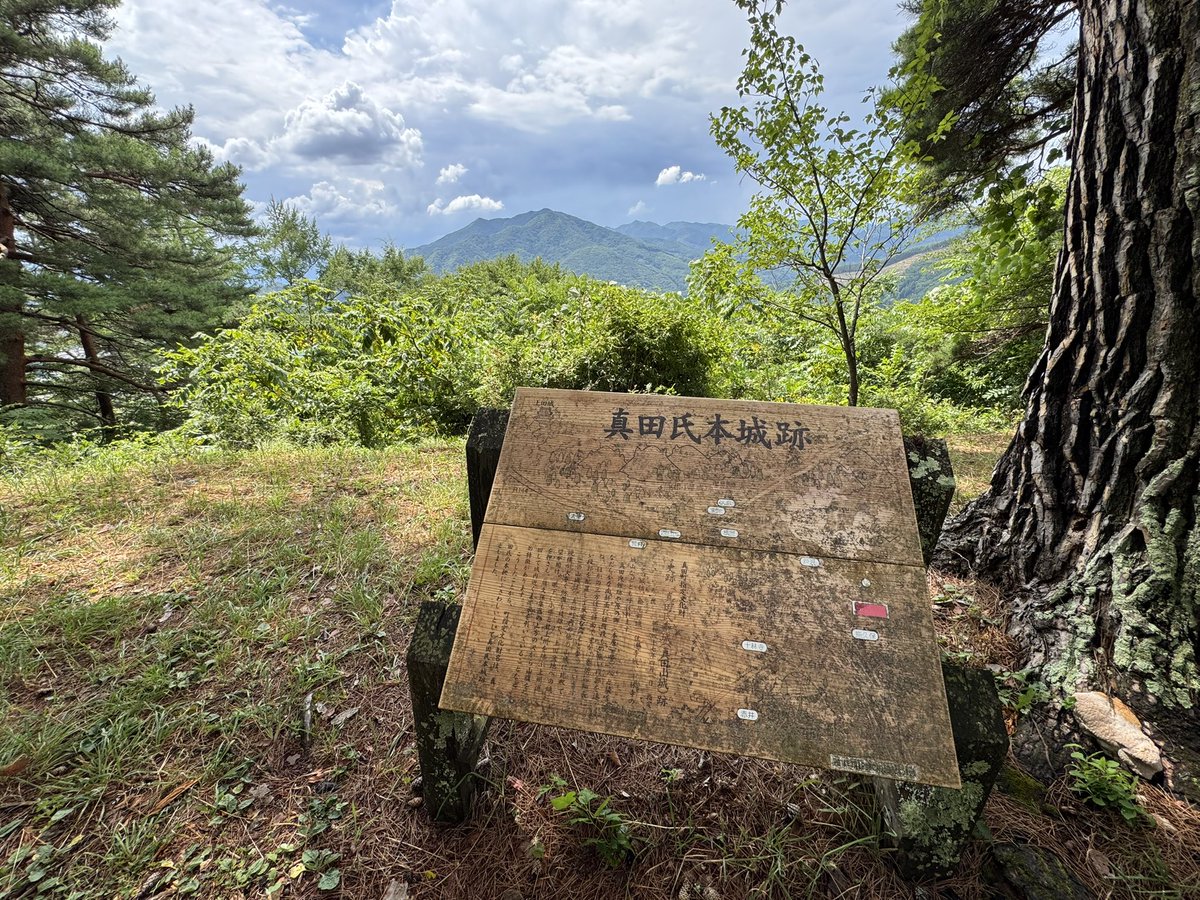 sideway002 tweet picture