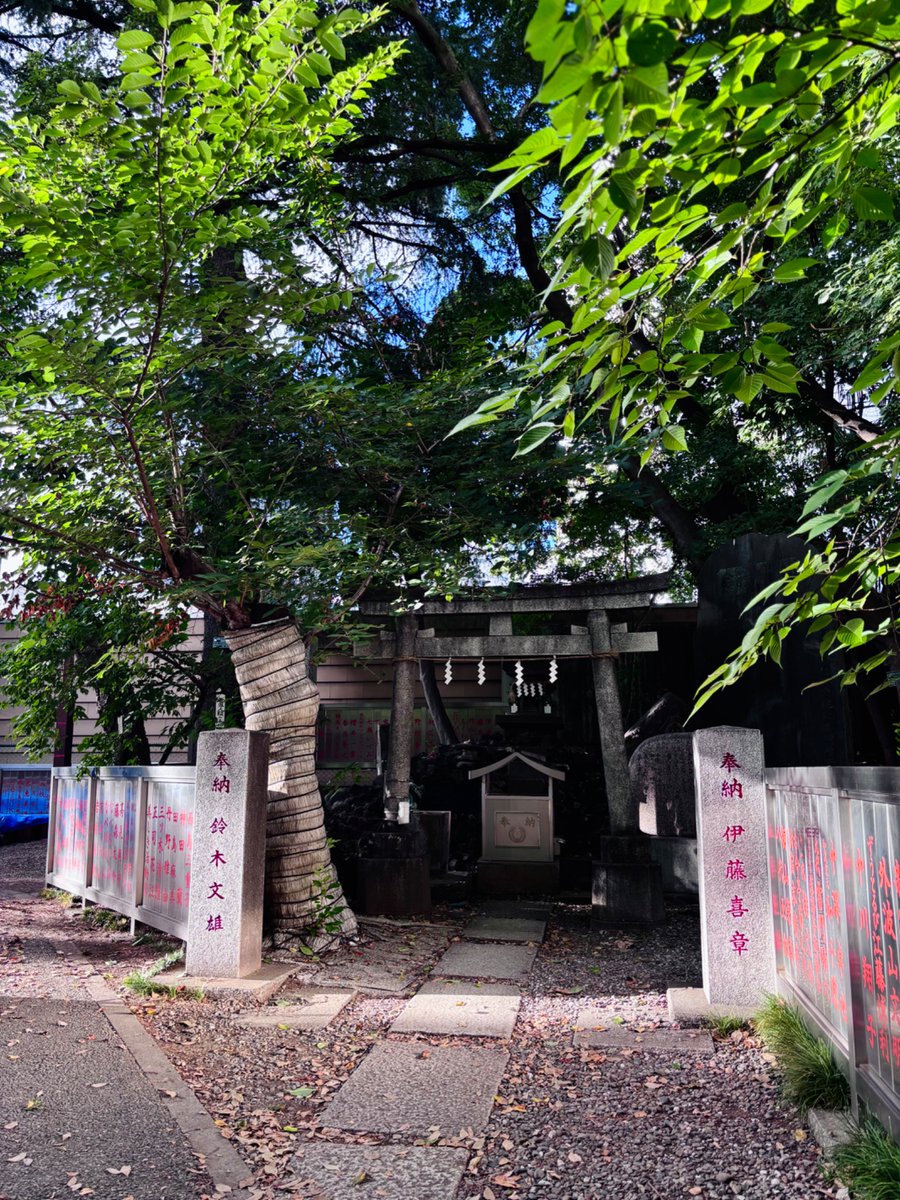 Apolonchocolate's tweet photo. 久々に行ってきました、花園神社。
芸能関係のご利益があるそうで...

私の腕と脚は見事に蚊のビュッフェ会場にされましたが、何となく手を合わせながら身が引き締まった気がします。精進せねば。

#今日のプチときめき https://t.co/WTu6K8eMKO
