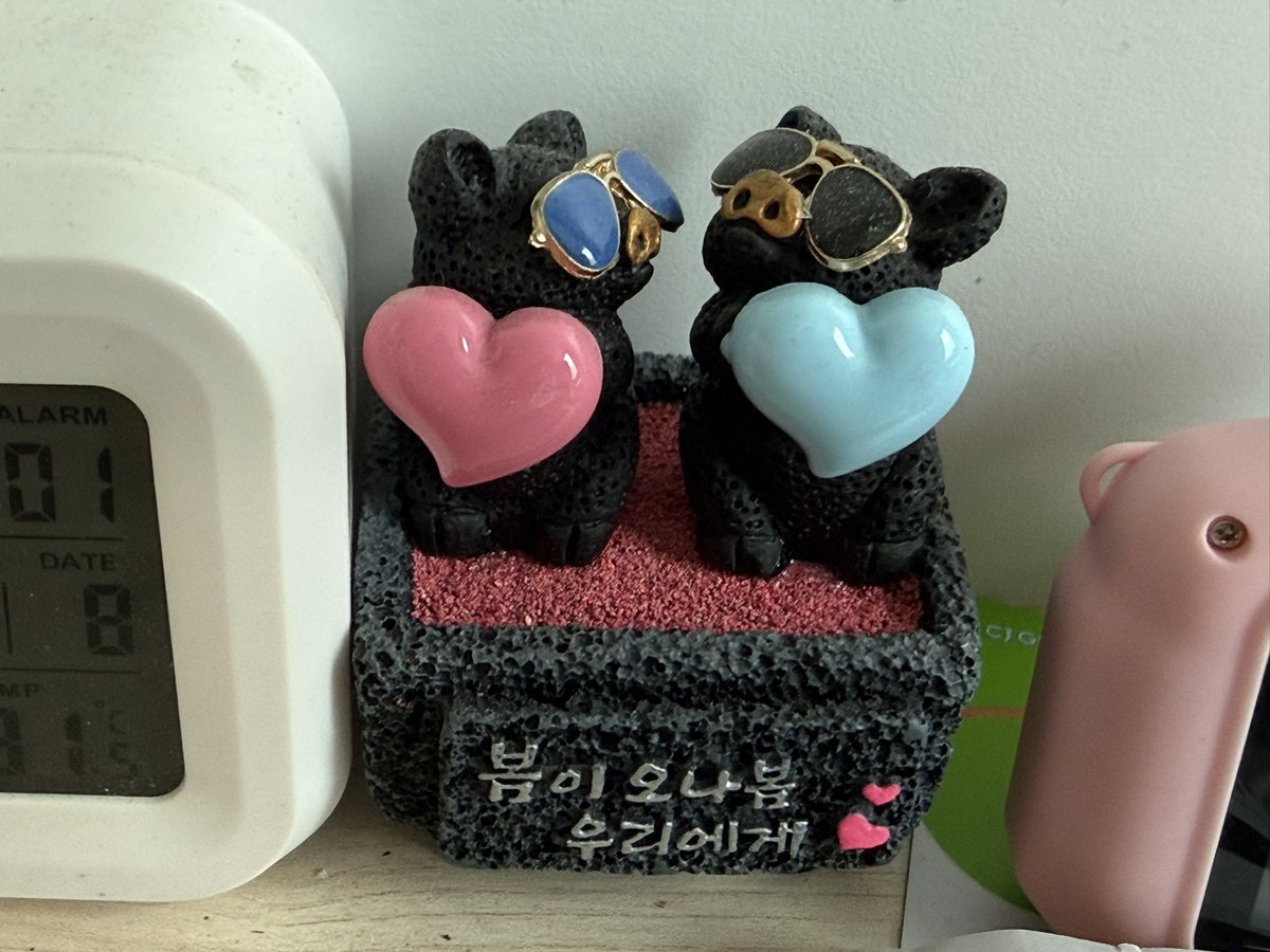 ongsimi0323's tweet photo. 요즘 고딩들도 이딴거사주냐
동생방갔다가 충격머금 https://t.co/DdiuPyR0w3