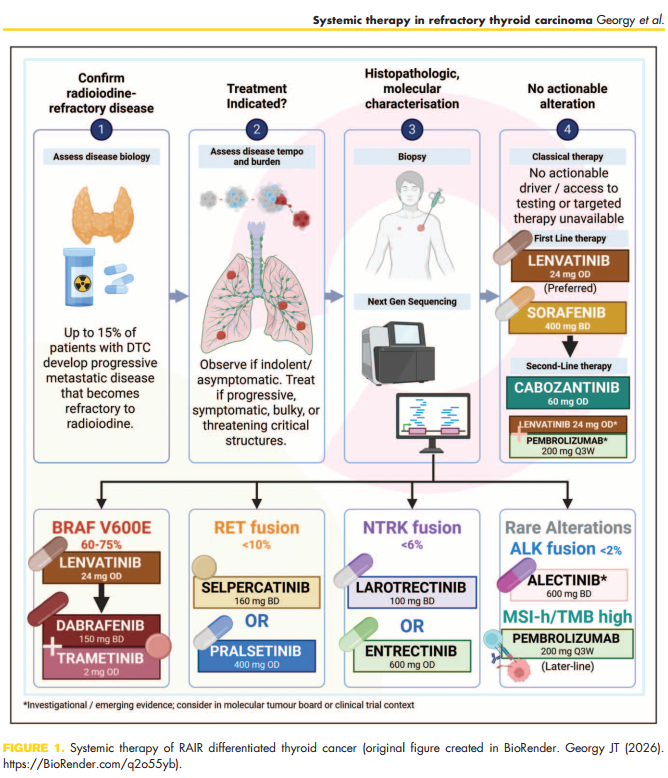 jtgeorgy's tweet photo. Glad to share our invited review on systemic therapy for refractory thyroid carcinoma is now published in Current Opinion in Endocrinology, Diabetes and Obesity.
With @HK_DMonc and @todrashish
https://t.co/WKr2Pwd25p
#ThyroidCancer #PrecisionOncology https://t.co/COxrY66XqL