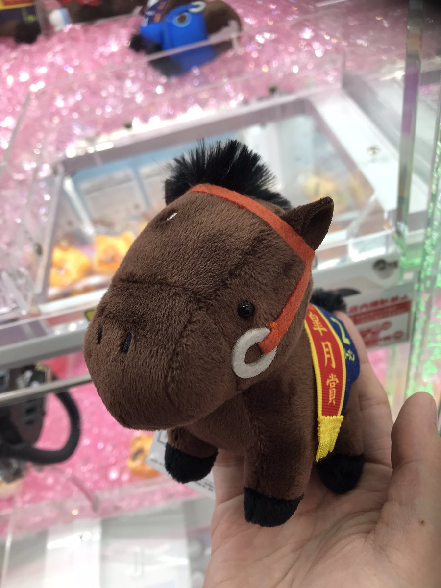 Kid_8316's tweet photo. ファイン＆ノーリーズンお迎え。

#サラブレッドコレクション https://t.co/rq4N4nJACa
