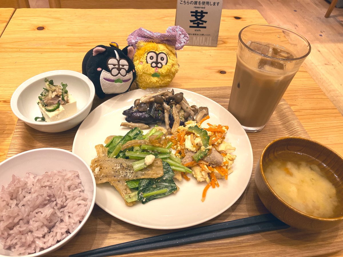 maromatsu114's tweet photo. お昼ごはん食びるてりぽめちゃん https://t.co/xrhJyC34aS
