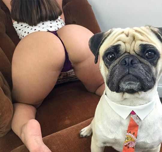 morefriendpm's tweet photo. Come explore my zoo and let your dark fantasies take control of you👇 https://t.co/TL7dTCYOQN
#zoosarevalid #beastiality #dogknot
#zooprideisvalid #zoophile
#hypnotistzoophilesarevalid
#zoophiletwt
#zootwt #zoopositivity
#jk242spoilers #groped https://t.co/lcnfLfZPen