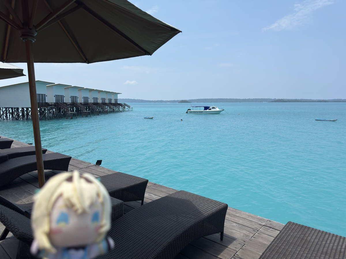 sero409's tweet photo. Hello from Maratua!
The water here is beautiful, can’t wait to dive in https://t.co/T0nx9tU1al