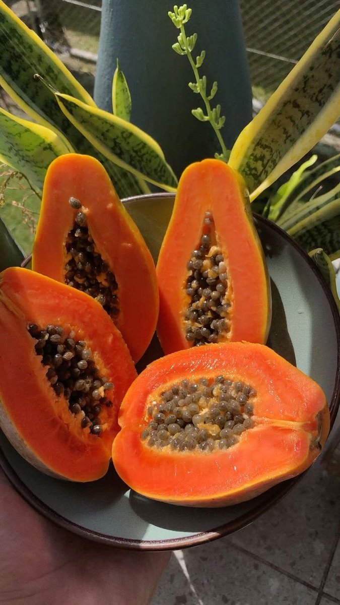 VozAnonima_'s tweet photo. 7 FRUTAS que DESINFLAMAN tu cuerpo por completo.

No solo la cara: 

1.PAPAYA https://t.co/BdkV4o0rBk
