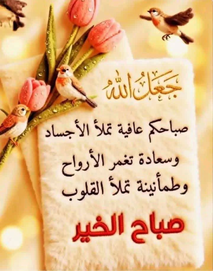 mohamadsayyour's tweet photo. @Bohamood331 https://t.co/mGKk4kA9XD
