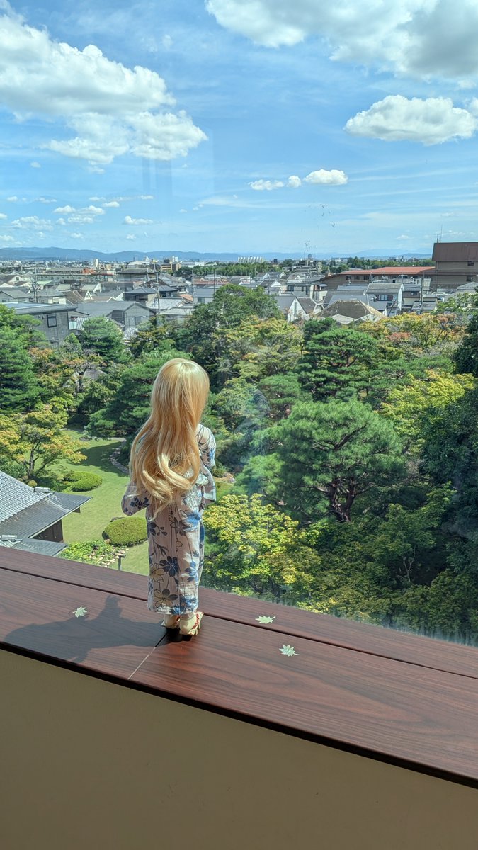 sorairo_zakuro's tweet photo. 「お庭、出ないの?」
それは自殺行為ですね。
#SDM45
#SDM_F_45
#うちのこかわいい https://t.co/RoEbwzaViQ