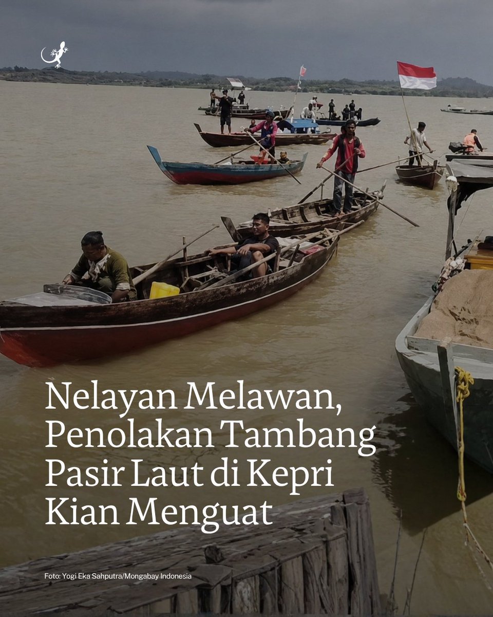 MongabayID's tweet photo. Penolakan nelayan terhadap rencana pengelolaan hasil sedimentasi laut di Kepulauan Riau semakin menguat karena dinilai sebagai bentuk baru tambang pasir laut. https://t.co/KI5bBykPy4