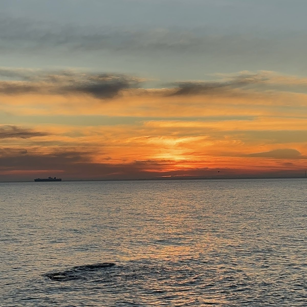 dirumputin's tweet photo. sedikit pesan buat si cantik @maura_jkt48v dan bonus setor foto sunset ya hehe

#WuvMaura https://t.co/F8PjVC0ovZ