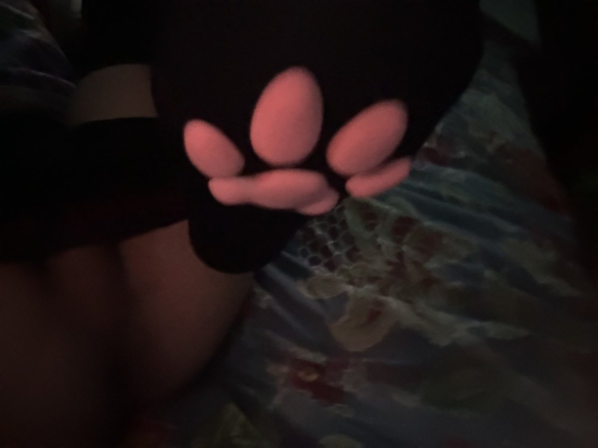 BelugaDaCatAD's tweet photo. I heard we like paw socks and feet come get a whiff #femboy #nsfwㅤㅤ #pawsocks #feetfetısh https://t.co/iM0kDa1pC5