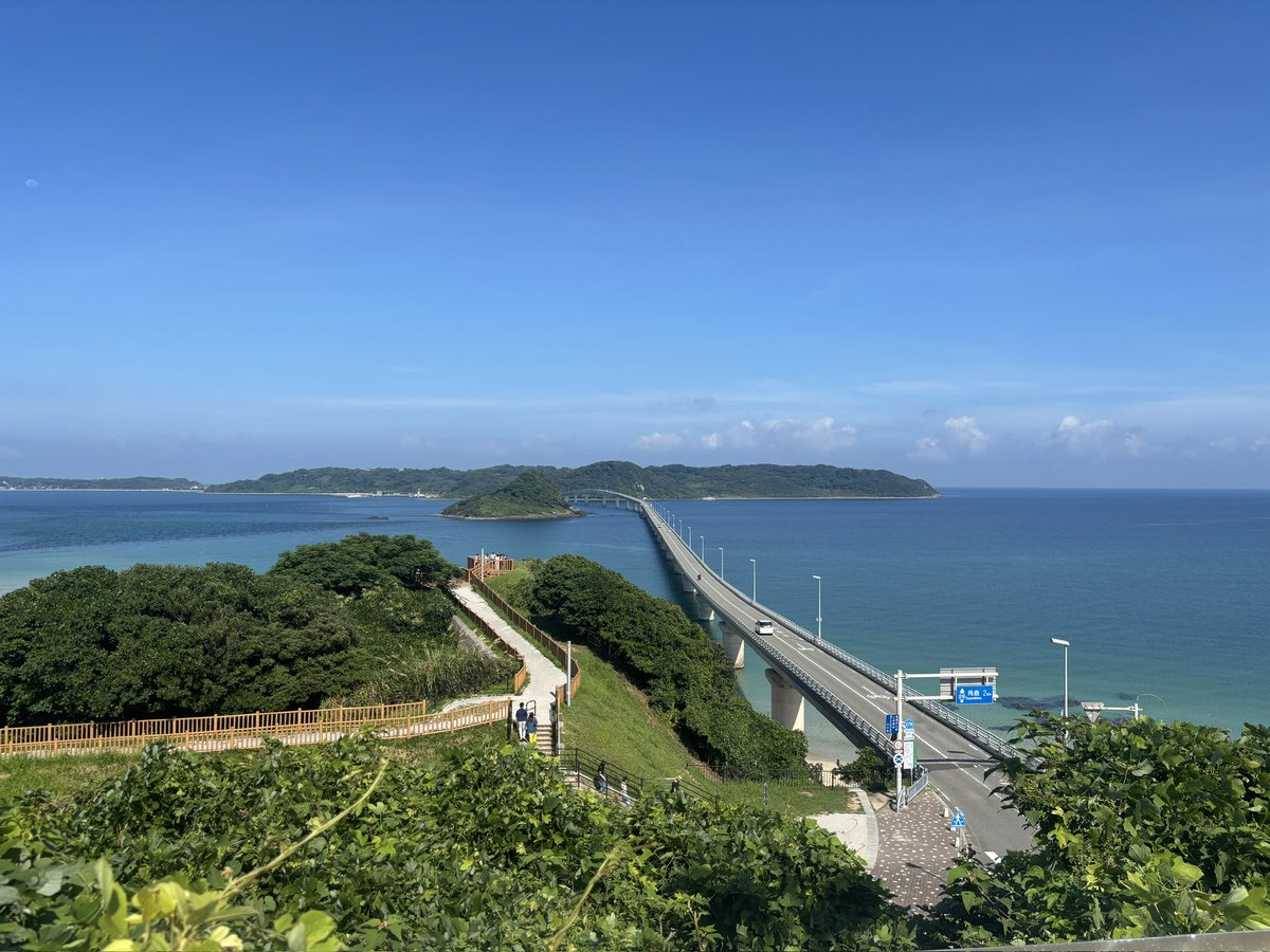ms100v's tweet photo. #これを見た人は無言で去年の8月の画像を貼る https://t.co/HcRNth6LYB