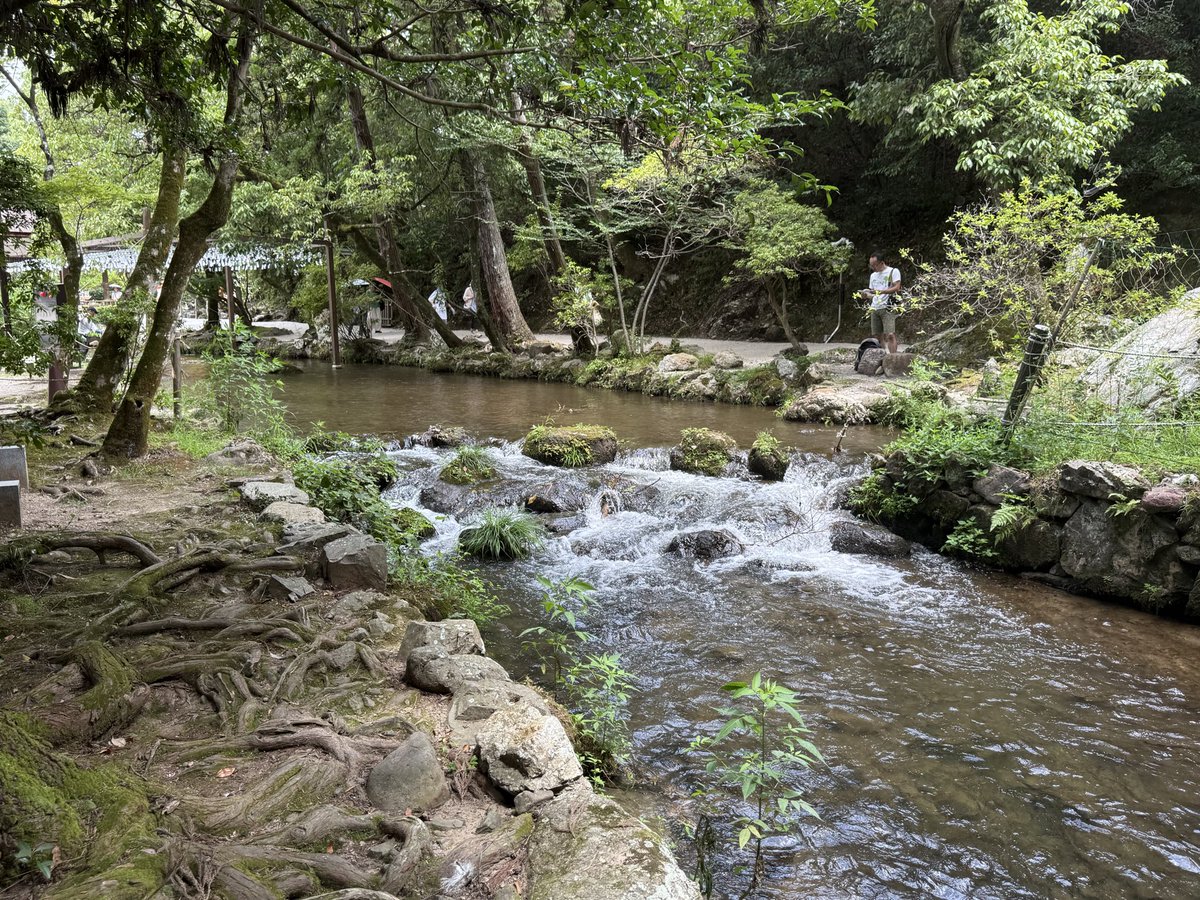 dc944266jk's tweet photo. 今日から夏休み。。

また京都に来て上賀茂神社へ行って来ました⛩️ https://t.co/NnDhDhTW7J