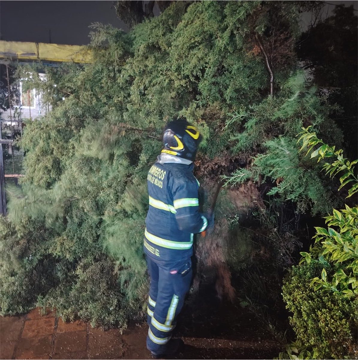 JefeVulcanoCova's tweet photo. Estamos atendiendo distintos puntos de la ciudad donde se registran emergencias por lluvia. Estos son los datos #AlMomento.

31 Árboles caídos
  2 Postes caídos 
16 Encharcamientos 
  7 Cortocircuitos
@ClaraBrugadaM https://t.co/HrSBHSRQmq