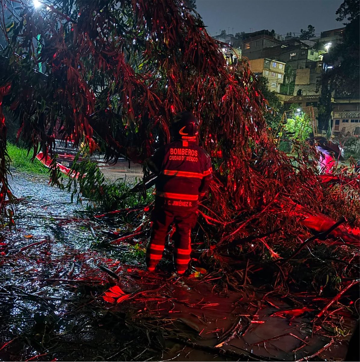 JefeVulcanoCova's tweet photo. Estamos atendiendo distintos puntos de la ciudad donde se registran emergencias por lluvia. Estos son los datos #AlMomento.

31 Árboles caídos
  2 Postes caídos 
16 Encharcamientos 
  7 Cortocircuitos
@ClaraBrugadaM https://t.co/HrSBHSRQmq