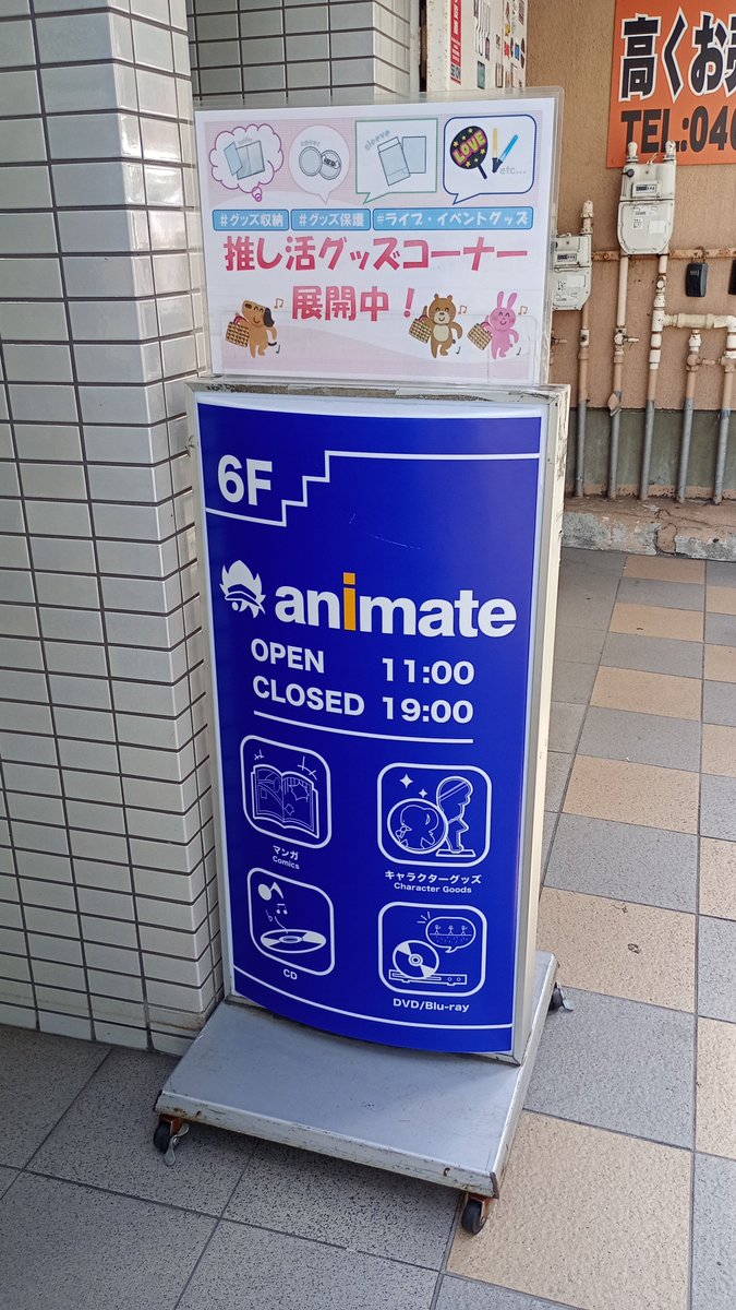suka_colle's tweet photo. 次回スカこれ！のチラシをアニメイト横須賀店様に置かせていただきました。毎回ありがとうございます。
横須賀でアニメのことならアニメイトカフェへ！ https://t.co/T1XXERxnmt