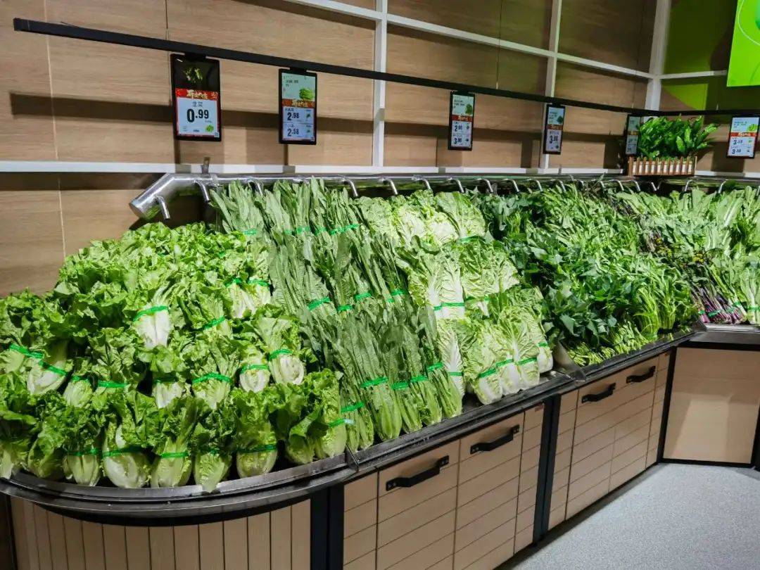 ordash's tweet photo. Fresh local veggies in stock! Crisp lettuce, ripe tomatoes u0026 crunchy cucumbers – perfect for tonight’s salad. Grab yours before they’re gone! https://t.co/d1fivYTvHI