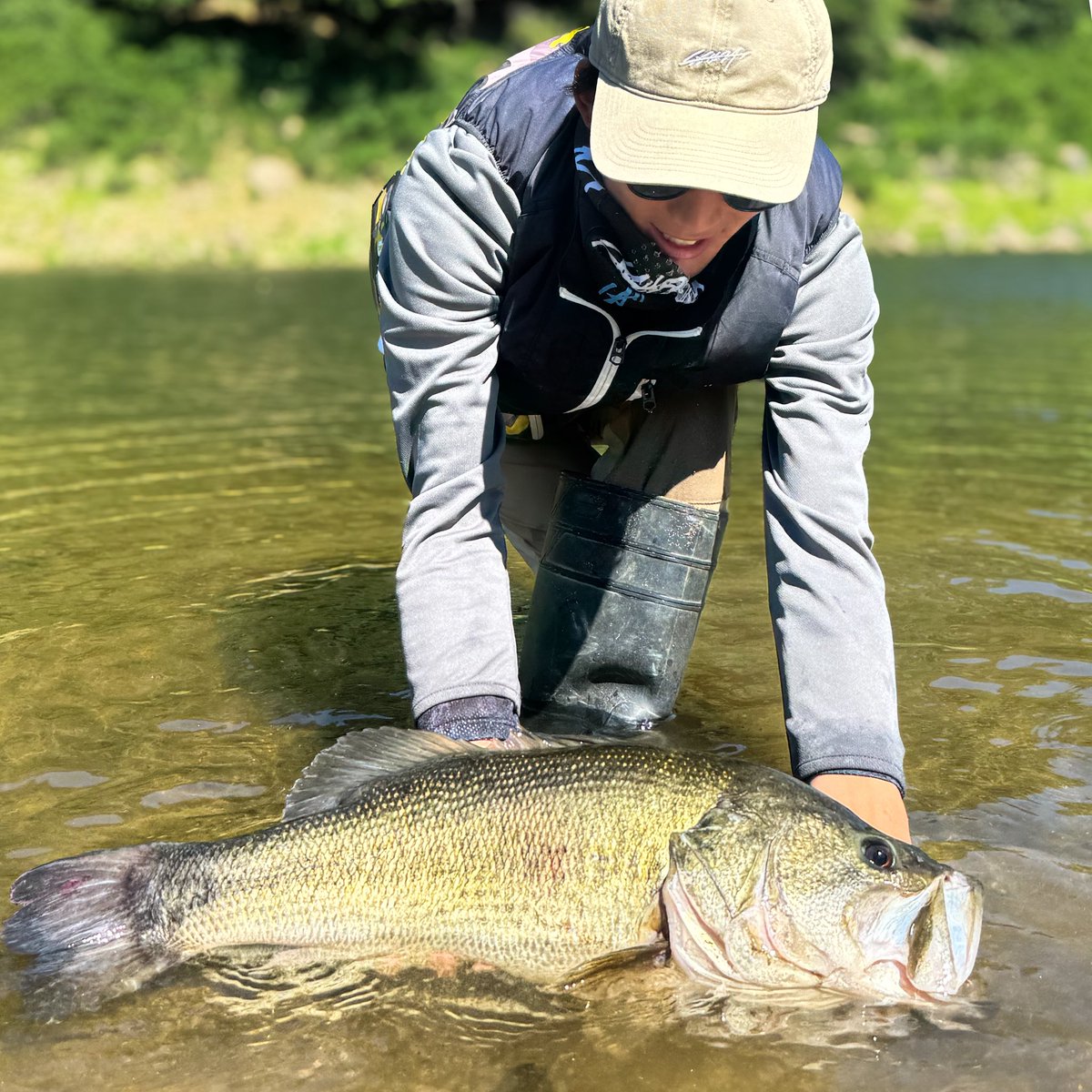 YukiyaAngler tweet picture